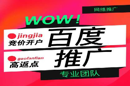 竞价推广实战案例分析